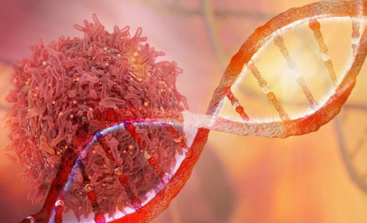 Hiệu quả của OLAPARIB trong Điều Trị Ung Thư Buồng Trứng với Đột Biến Gen BRCA