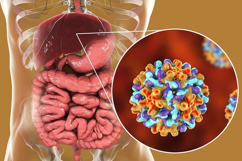 Cải Thiện Tiên Lượng Cho Bệnh Nhân Ung Thư Gan Giai Đoạn Sớm Với Liệu Pháp Kết Hợp