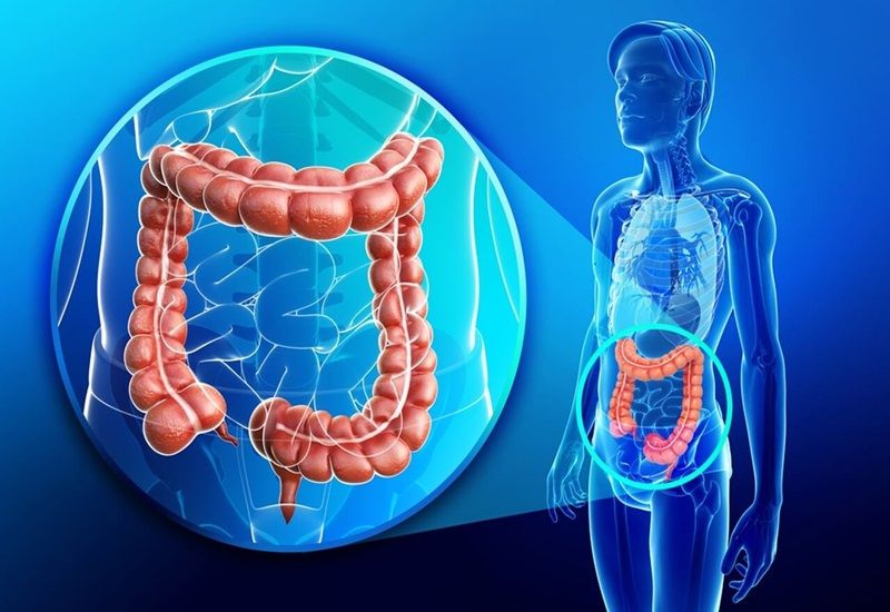 Sự Kỳ Diệu Của Cetuximab: Ánh Sáng Mới Trong Cuộc Chiến Chống Ung Thư!