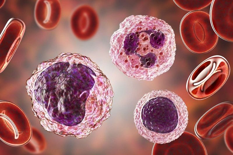 Rituximab - Kháng Thể Đơn Dòng Hiệu Quả trong Điều Trị Bệnh Ung Thư Liên Quan đến Tế Bào Lympho B