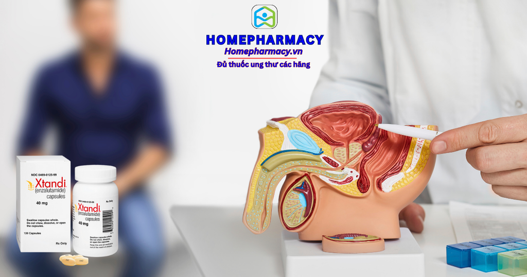 Xtandi: Sự Kết Hợp Giữa Hiệu Quả Và An Toàn Trong Điều Trị Ung Thư Tuyến Tiền Liệt Được Khẳng Định Qua Nghiên Cứu Lâm Sàng