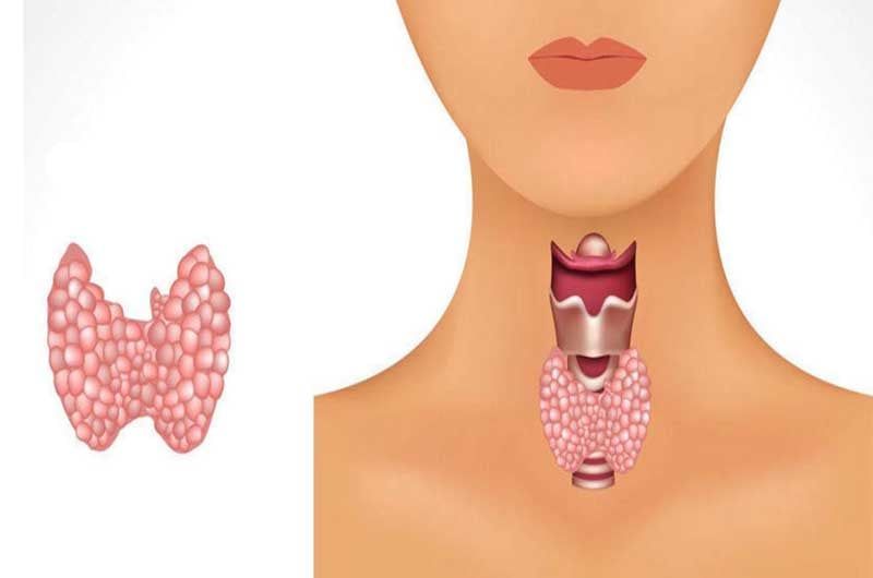 Cabozantinib: Bước Tiến Mạnh Mẽ Trong Điều Trị Ung Thư