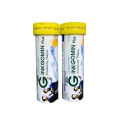 Viên Sủi Bổ Não Ginkgomin Plus Tuýp 10 Viên
