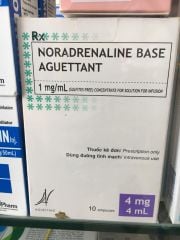 Noradrenaline Base Aguettant