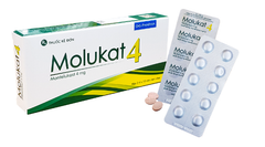 Molukat 4 DHG