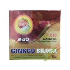 Ginkgo Biloba Magie B6-Q10 240Mg
