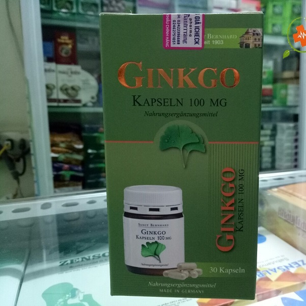Ginkgo Kapseln 100Mg