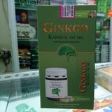Ginkgo Kapseln 100Mg