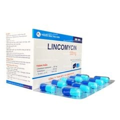 Thuốc kháng sinh LINCOMYCIN 500mg (Armephaco) hộp 10 vỉ x 10 viên nang cứng