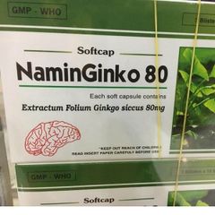 Naminginko 80Mg