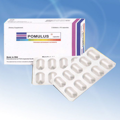 Pomulus