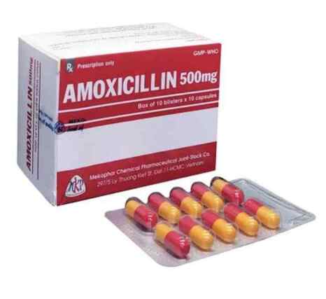 Amoxicillin 500 Mekophar (H/100v)