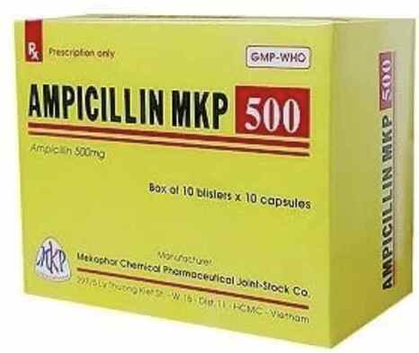 Ampicillin 500mg Mekophar (H/100v)