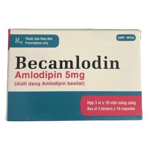 Becamlodine 5mg Enlie (H/30v) – Thuốc chẹn kênh canxi điều trị tăng huyết áp & đau thắt ngực hiệu quả