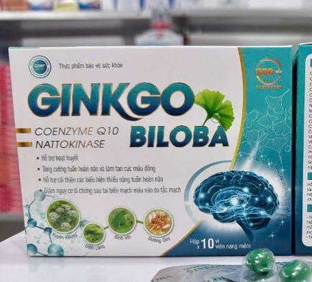 GINKGO GLOBA Cải thiện các biểu hiện thiểu năng tuần hoàn não và giảm nguy cơ di chứng sau tai biến mạch máu não