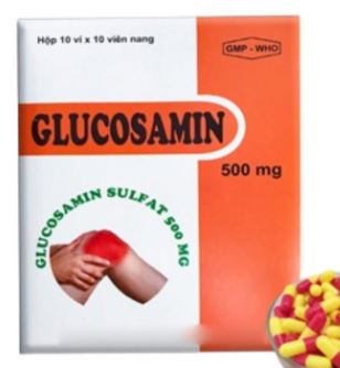 Thuốc Glucosamin 500mg hỗ trợ điều trị các bệnh xương khớp