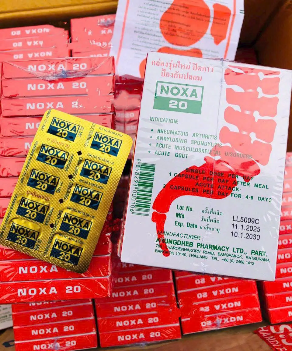 Thuốc NOXA 20 Thái Lan - Trị Viêm Khớp, Bệnh Gút Cấp Tính Hiệu Quả