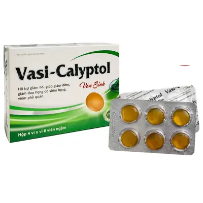 VIÊN NGẬM VASI - CALYPTOL hỗ trợ giảm ho, giúp giảm đờm, giảm đau họng, khản tiếng do viêm họng, viêm phế quản (Hộp 4 vỉ x 6 viên)