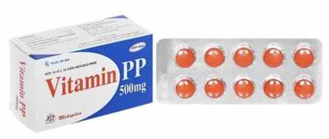 Vitamin Pp 500 Mekophar (H/100V)